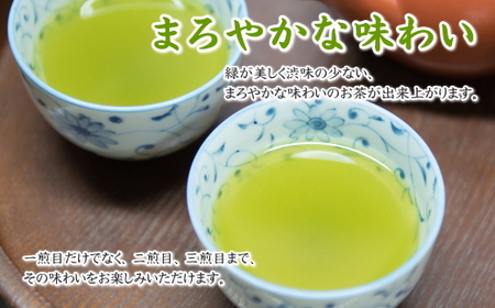 038-9　摘みたて！特上深蒸し茶100ｇ×6本　包装袋セット お茶のミズイ園