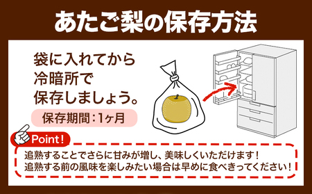 あたご梨 約4kg【配送不可地域あり】 梨