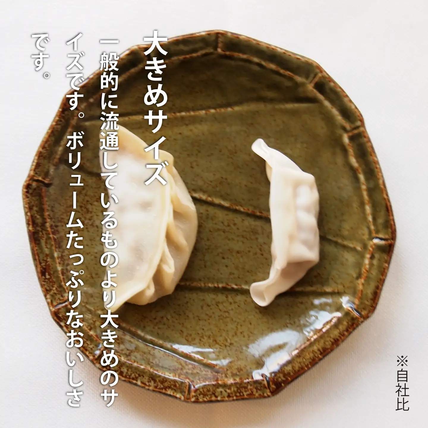 大きめ居酒屋餃子　600g　九州・沖縄配送不可【AN-001】