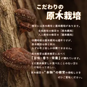 原木乾椎茸 特撰上どんこ 200ｇ F07031