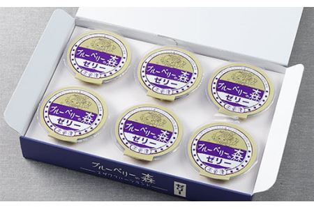 ＜甘みの強いブルーベリーゼリー誕生！＞ブルーベリーの森ゼリー12個