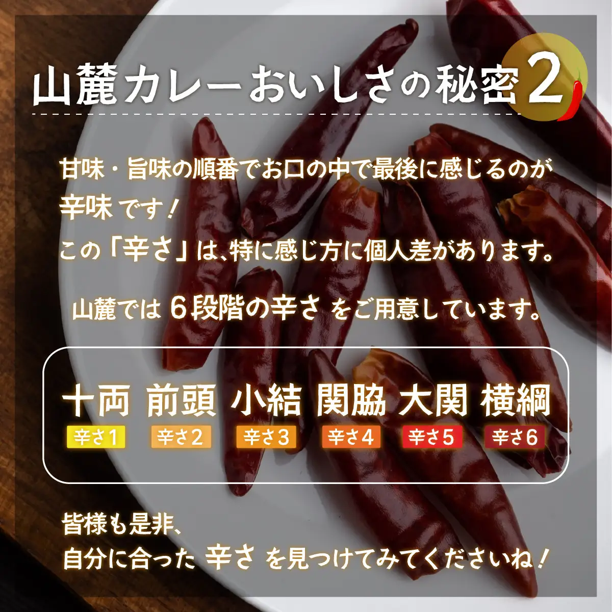 また食べたくなるカレー！＜木更津山麓カレー＞十両・前頭・小結・特製玉ねぎドレッシングセット KP002