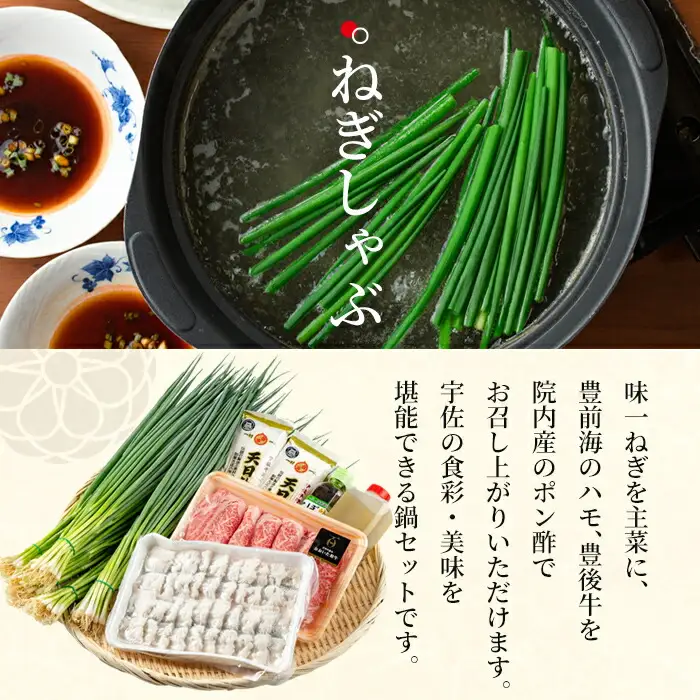 ねぎしゃぶ(6品)ねぎしゃぶ しゃぶしゃぶ 豊後牛 鱧 はも 鍋 お鍋 セット【101500302】【菊水旅館】
