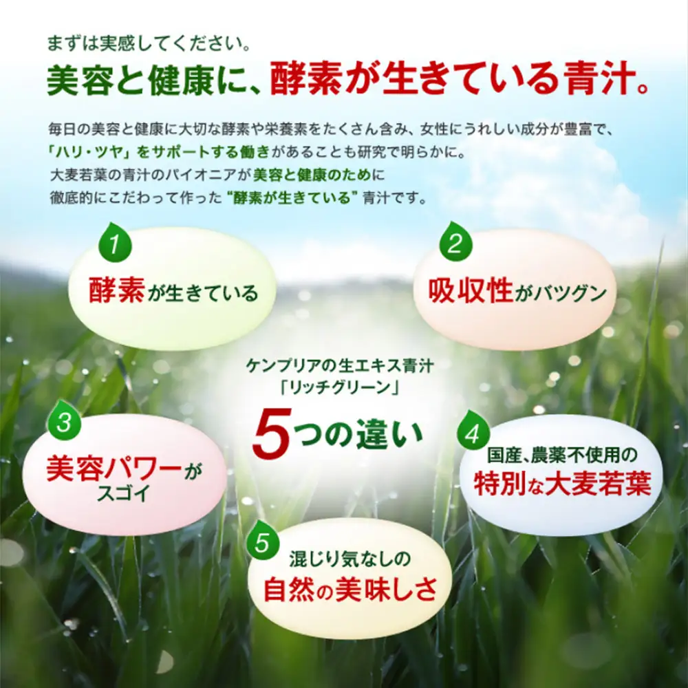リッチグリーン＋シェーカーコップセット(計90g・3g×30P)青汁 スムージー 大麦若葉 シェーカー付き 飲料 粉末 常温【103100300】【ケンプリア】