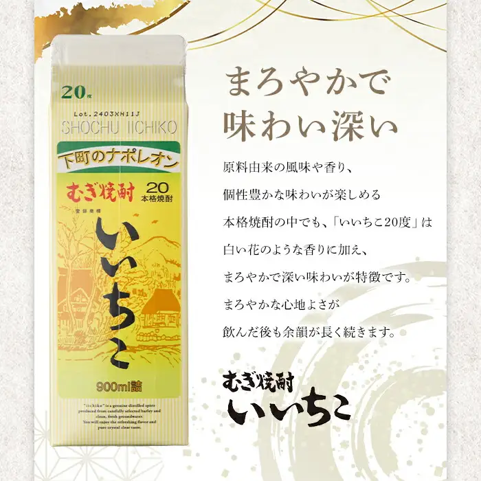 いいちこ 20度 パック(計10.8L・900ml×12本)酒 お酒 むぎ焼酎 900ml 麦焼酎 常温 いいちこ 三和酒類 紙パック【107304000】【時枝酒店】
