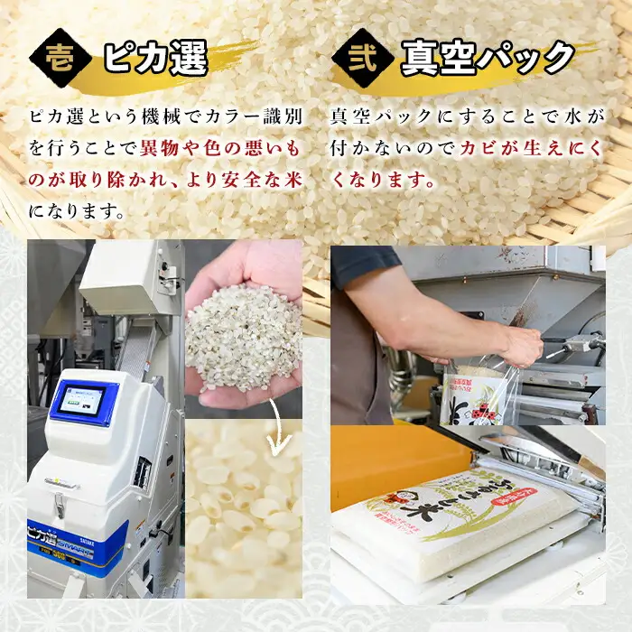 ＜令和7年産＞大分県産ひのひかり(5kg)米 お米 ひのひかり ヒノヒカリ 白米 真空パック 大分県産【107800102】【お米の鈴木】