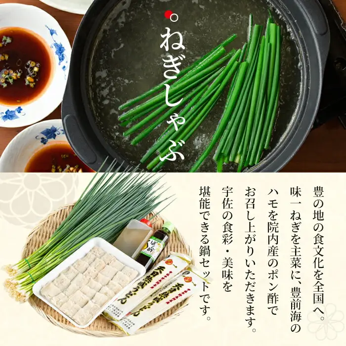 ねぎしゃぶ(鱧はも)セット(5品) ねぎしゃぶ しゃぶしゃぶ 鱧 はも 鍋 お鍋 うどん付き セット【101500202】【菊水旅館】