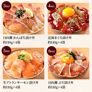 お魚の漬け丼バラエティ10回 定期便 海鮮 漬け丼 セット ぶり 真鯛 かんぱち まぐろ サーモン 流水解凍 海鮮丼 簡単 便利 小分け 個包装 刻み海苔 日向灘 九州 宮崎県 延岡市 冷凍 お取り寄せ N019-YG0190