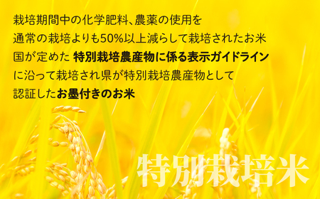 パックご飯 150g ×30食 玄米 減化学肥料｜地球にやさしい パックご飯