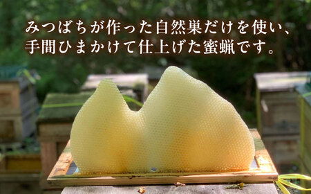 恵那 蜜蝋セット (Sランク蜜蝋500g:100g5枚) / 恵那市 / はち工房こうけつ [AUDF023]