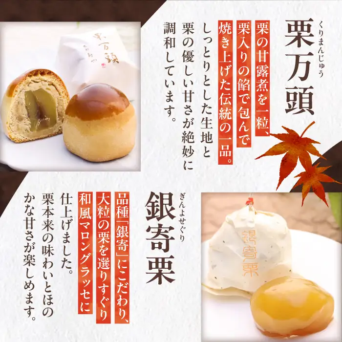 【季節限定】栗の贈り物 6種 計12個 / 恵那市 / 恵那寿や [AUAS005]