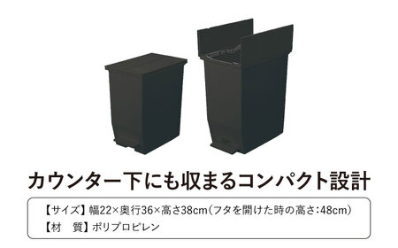 コンパクト ペダルダストボックス  20L／ブラック /  恵那市 / 東谷 [AUAD087]