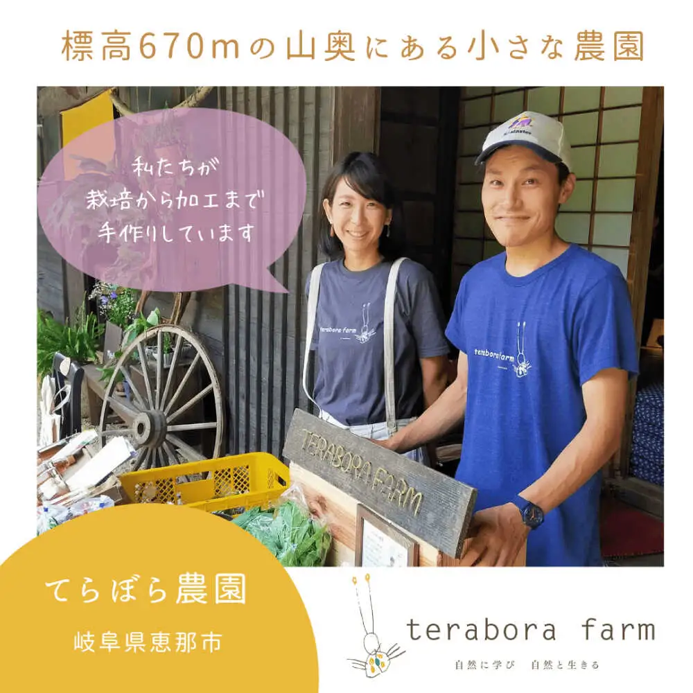 こだわり金時しょうがシロップ 200ml×2本 ギフトセット / 恵那市 / てらぼら農園 [AUDZ001]