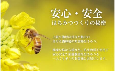 生はちみつ 国産 アカシア・リンゴ 600g 蜂蜜 生はちみつ