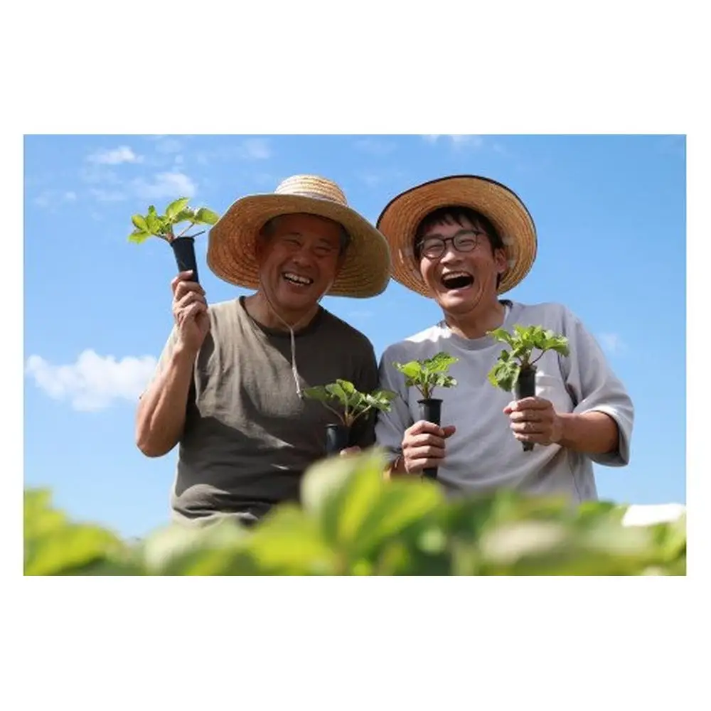 【先行予約】【2026年12月中旬より順次発送】福岡県産　あまおう&桃薫セット【ナチュレッシュ・ファーム・ジェイピー】_HA1339