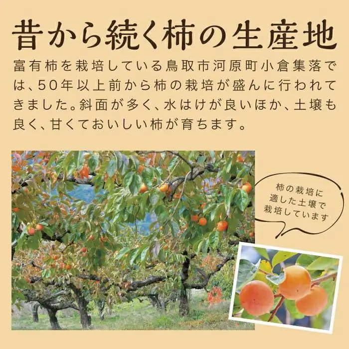 富有柿 5kg箱 (L～2Lサイズ)