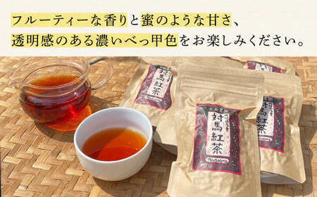 おうちで 紅茶 づくり 体験キット（Webショップで使えるクーポン付） 国産 ティー  [WBE010]