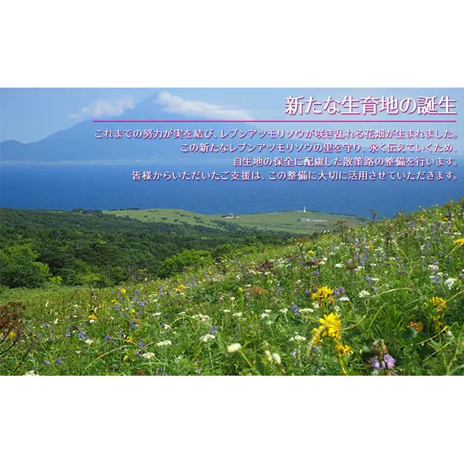 礼文産 塩水ウニ キタムラサキウニ 100g×2(ピンバッジ付) うに