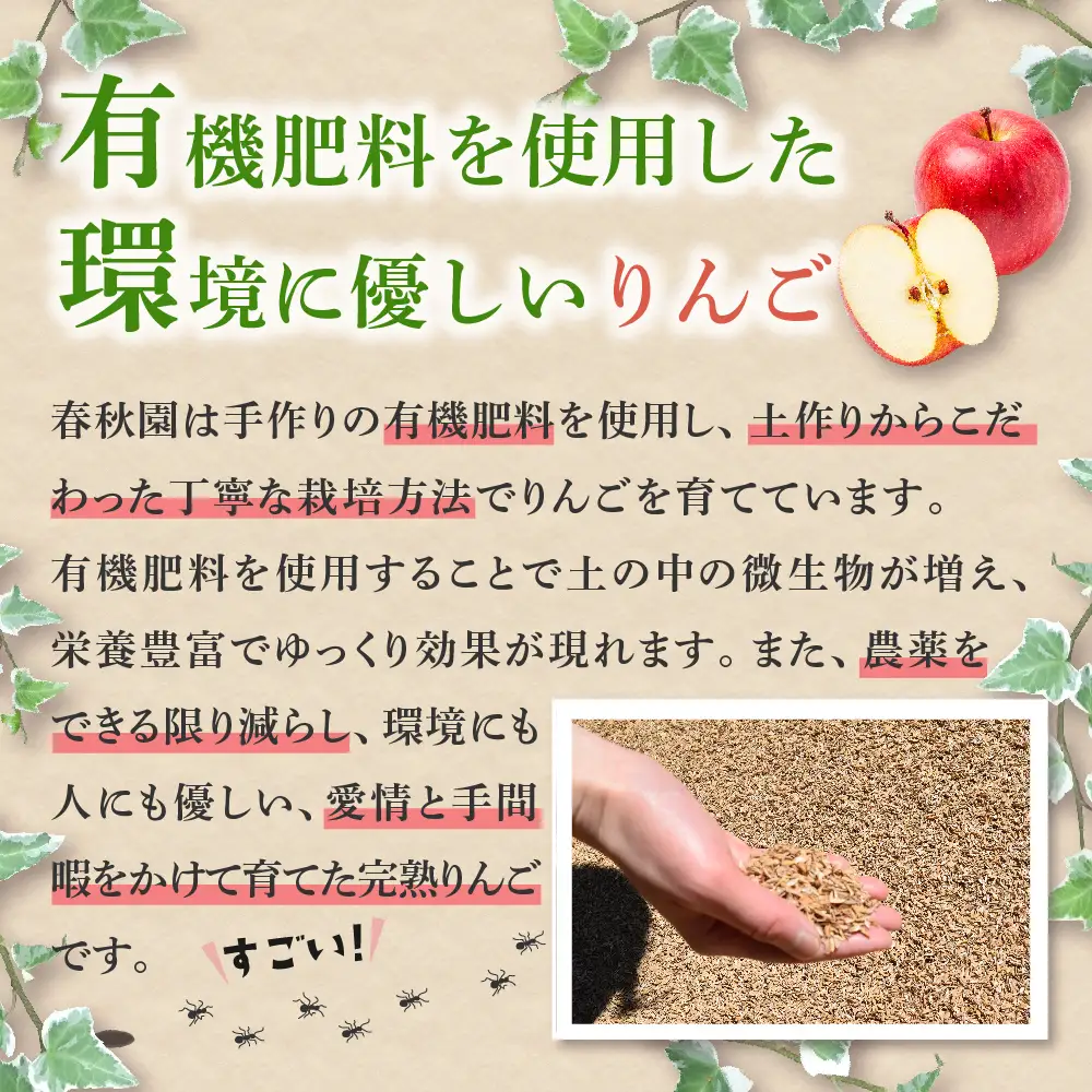  りんご サンつがる約5kg【2026年9月上旬発送】春秋園 青森 訳ありりんご早生