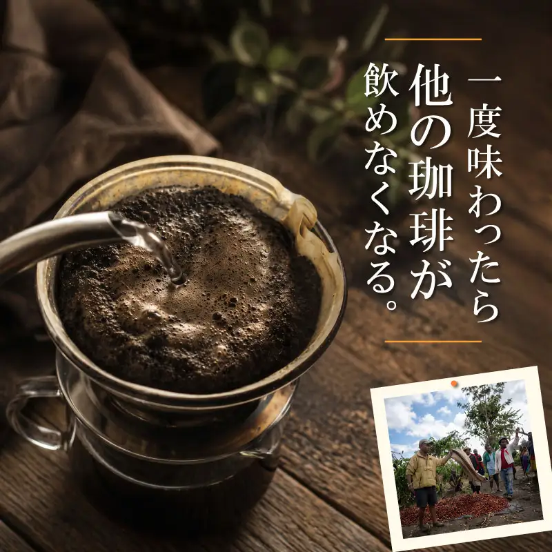 013-4　MUSUBIコーヒー豆COFFEE　お試しセット＜粉＞ コーヒー豆