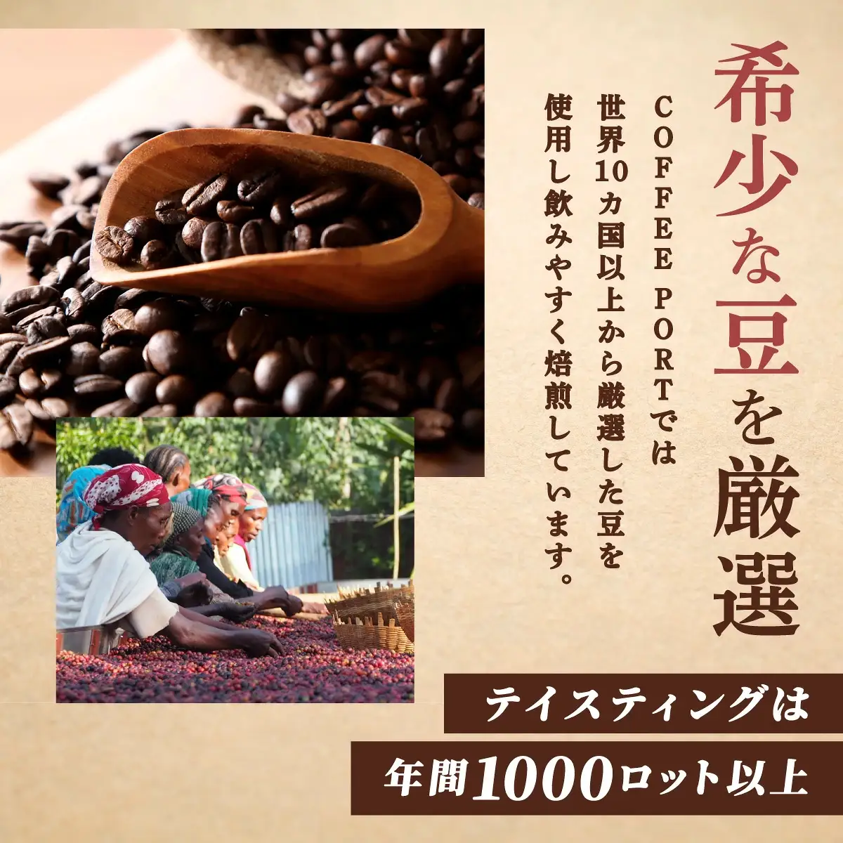 スペシャルティコーヒー100％　特別なアイスコーヒー8本セット
