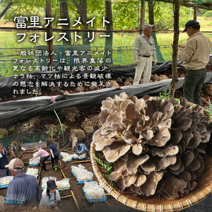 【令和8年産先行予約】 増富天空の舞茸　原木まいたけ　約450g  [h192]