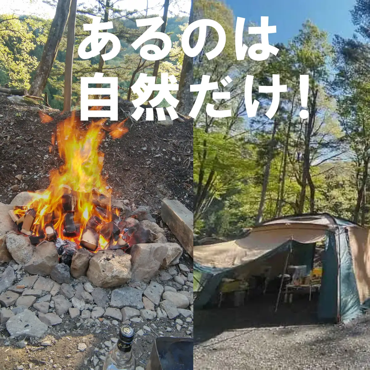 真木ハマイバキャンプ場ご利用チケット（1名）