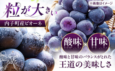 【先行予約】ピオーネ 秀品 4-6房 2kg BKAY010 ぶどう