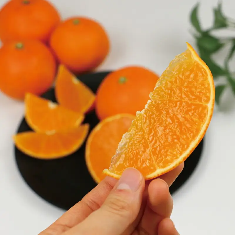【紅まどんなと同品種】 訳あり 愛果28号 まどんな 5kg 家庭用 玉津柑橘倶楽部 B015-072026