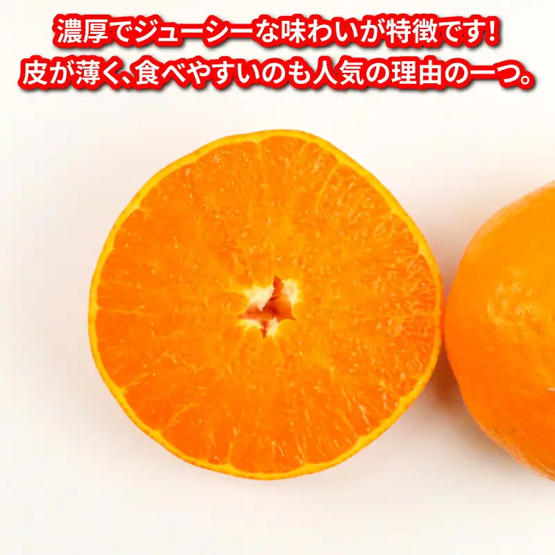 せとか 訳あり 5kg 玉津柑橘倶楽部 せとか B015-072028