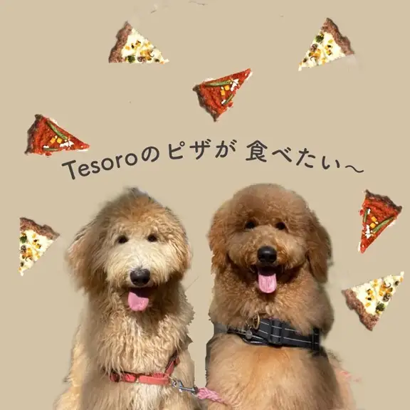 【Tesoro】わんこ用／お肉でできピザ　豆乳ホワイトソース（お肉屋さんが作る犬ご飯）ピザ