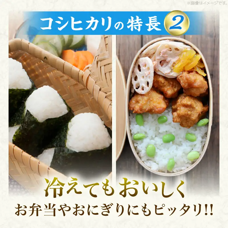 令和8年産 新米 コシヒカリ 計10kg_D131-26