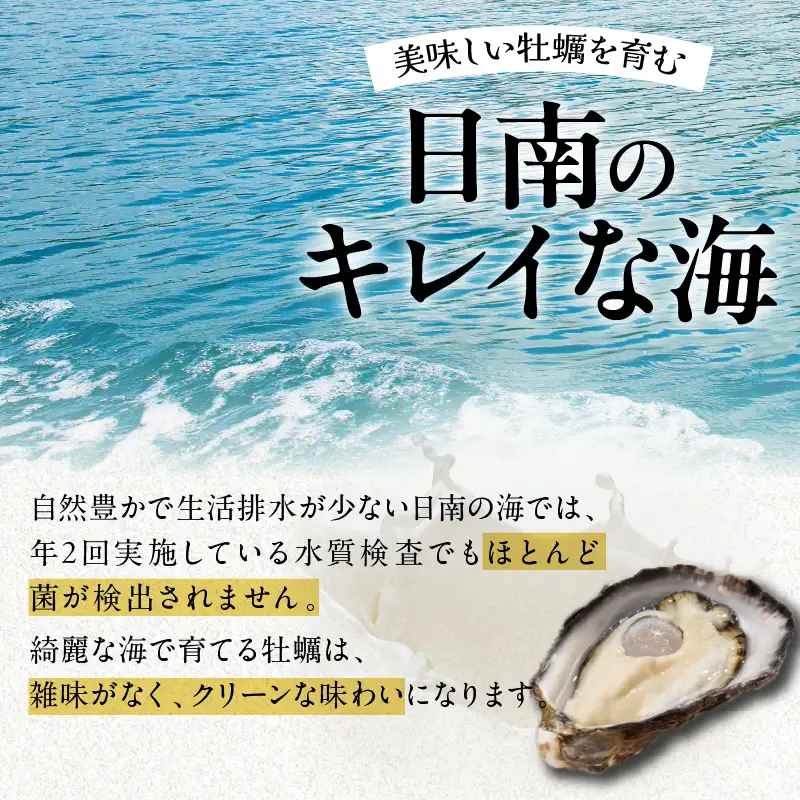 数量限定 宮崎県産 ブランド 牡蠣 ひとしおオイスター 計20個 魚介 魚貝 かき 生食用 殻付き 国産 おかず おつまみ 食品 海鮮 海産物 シーフード BBQ バーベキュー アウトドア グランピング 海の幸 養殖 絶品 贅沢 ご褒美 お取り寄せ グルメ 日南市 送料無料_CB81-23