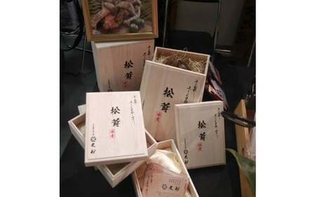 【数量限定】 天然松茸 125g 松茸ご飯、焼き松茸、土瓶蒸しなど 桐箱入 F4N-2522