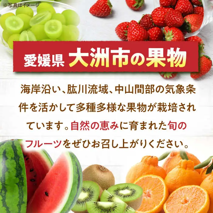 栗 【2026年9月下旬から順次発送】 大粒生栗 1kg[AGAE009]