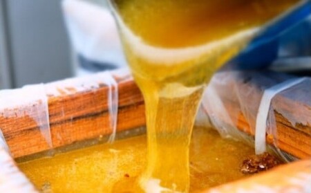 はちみつ 純はちみつ さくら＆れんげ 国産 はちみつ【600g×2本】