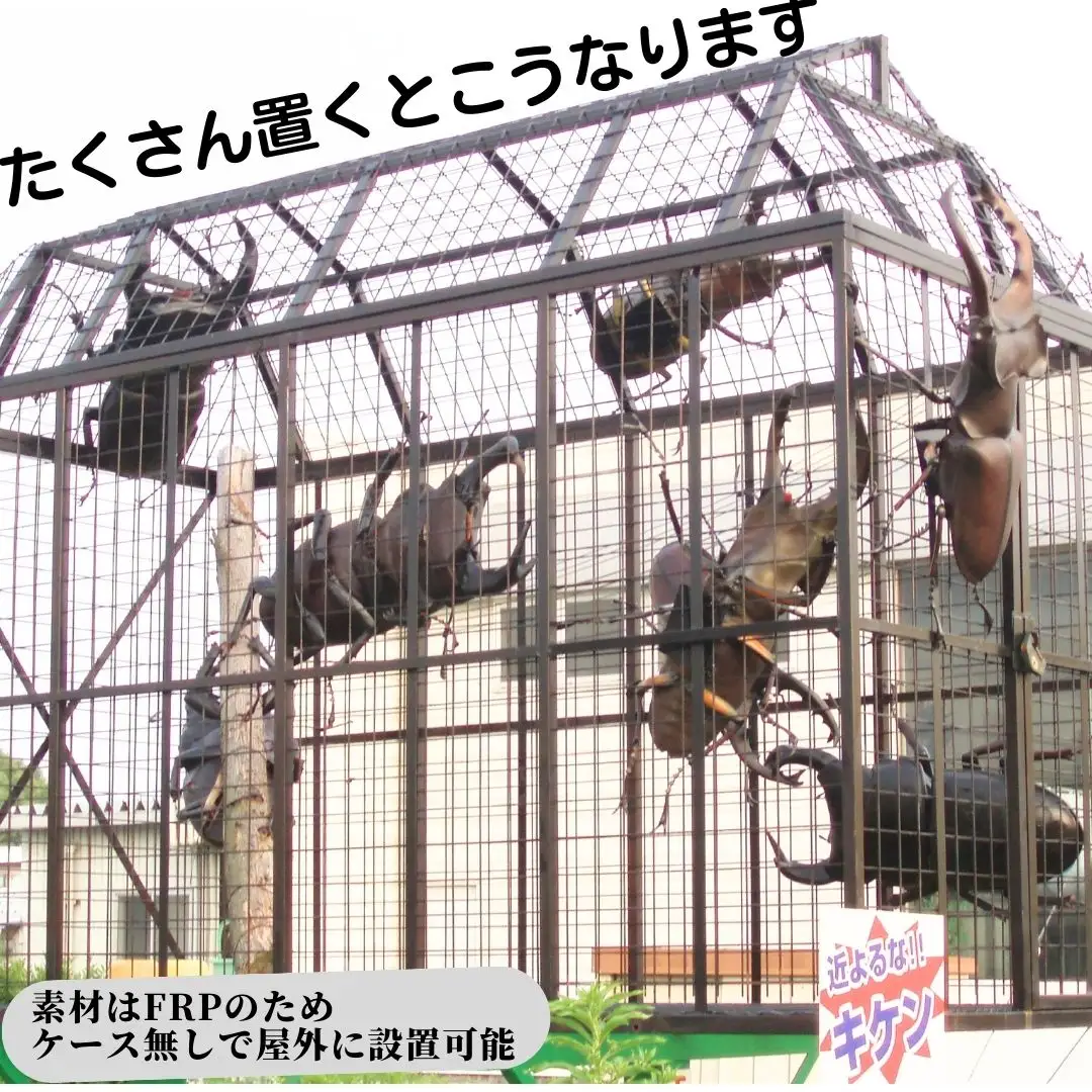 ミヤマ クワガタ 大型 リアル 模型 クワガタ 昆虫 おもちゃ 飾り（透明ケース付）