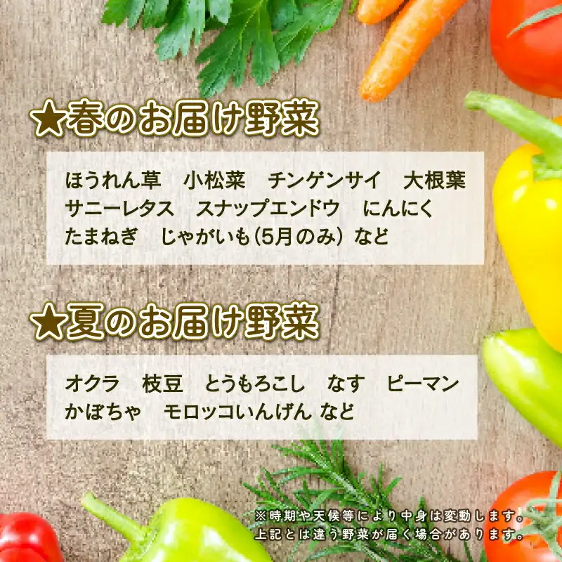 季節のおまかせ 野菜 セット はまだ農園 やさい 野菜セット 美味しい 新鮮 小分け 季節 お任せ 食べ比べ 旬野菜 旬 詰め合わせ 季節限定 季節野菜 フレッシュ yasai 農家直送 産地直送 数量限定 国産 愛媛 宇和島 F010-139001