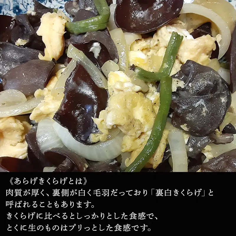ドームハウスで育てたきくらげ 100g×8袋(合計800g) プリプリ食感 小分け 生きくらげ 木耳 きのこ 料理 調理