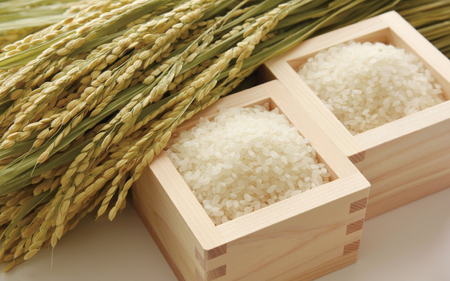 和歌山県産 キヌヒカリ 5kg(2024年産)  産地直送 米 こめ ご飯 ごはん 【sml101D】