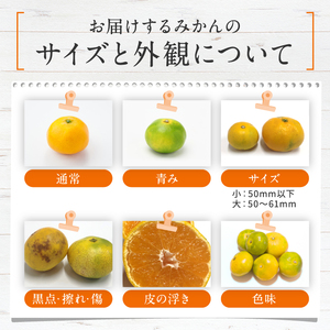 【 先行予約 】 訳あり 熊本県産 温州 みかん 約 10kg