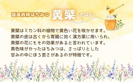 国産 純粋 はちみつ 里の花 125g 黄檗 125g (各1本)／ 蜂蜜 ハチミツ 非加熱 無添加 無加工 百花蜜 単花蜜 キハダ お取り寄せ 伊藤ゆう養蜂園 奈良県 宇陀市 ふるさと納税