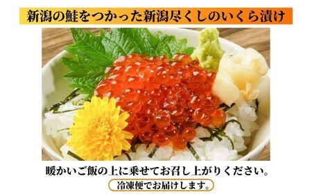 いくらの親子漬け 400g 新潟県立海洋高校開発魚醤仕込み 糸魚川