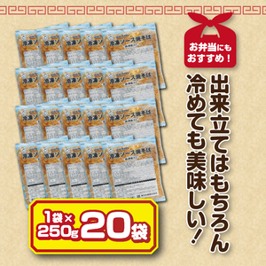 マルちゃん冷凍ソース焼そば（肉・野菜入り）20袋 (a13-050)