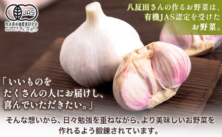 乾燥にんにく 1kg みふね有機の里《30日以内に出荷予定(土日祝除く)》熊本県 御船町 国産 御船町産 有機JAS認定 ガーリック 野菜 有機にんにく 熊本県御船町