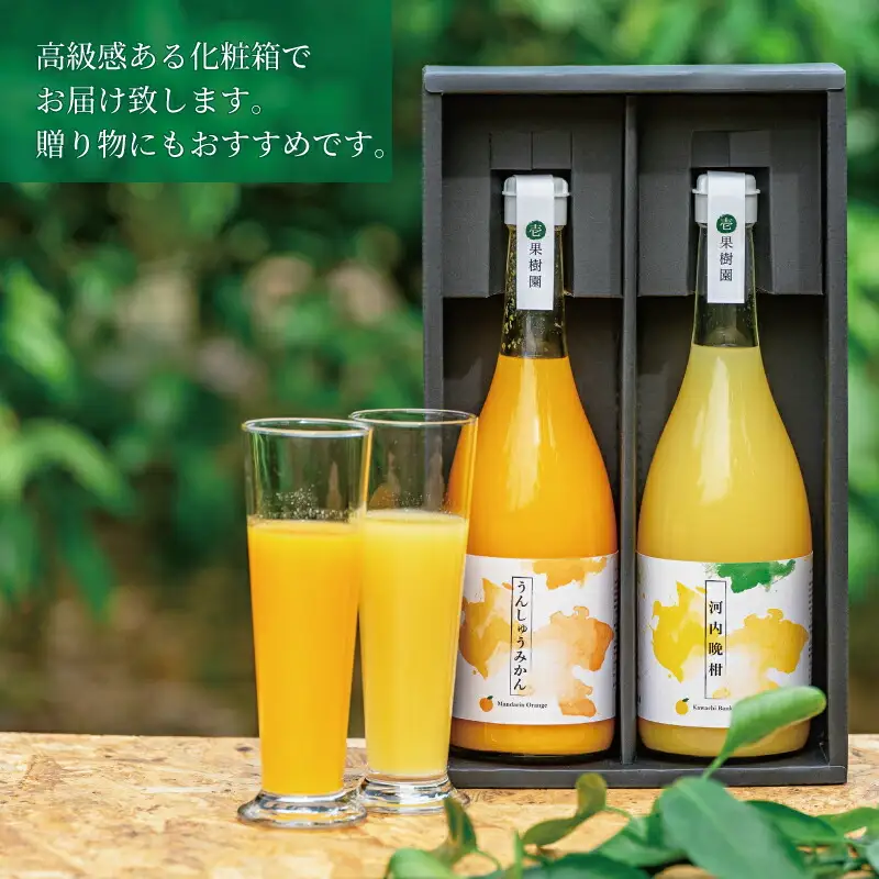 ストレートジュース 愛媛 の 柑橘ジュース 720ml × 2本 セット 壱果樹園 河内晩柑 温州みかん みかんジュース みかん 蜜柑 mikan フルーツ ジュース 果汁 100% 飲料 ギフト 贈答用 果物 くだもの 国産 愛媛 宇和島 H015-141002