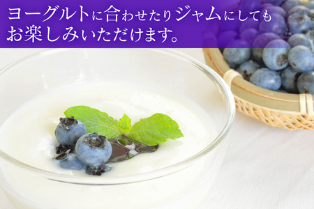 横田さん家の冷凍ブルーベリー 1.2kg (約600g×2袋) [1639]