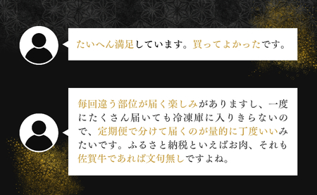 【ヒレステーキも楽しめる！】贅沢な佐賀牛 プレミアム定期便・通年4回 牛肉 黒毛和牛 極上の佐賀牛 厳選 お肉 おにく ギフト プレゼント 贈り物 人気の定期便 ていきびん za014