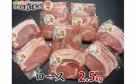 まる姫ポーク　ロース生姜焼き用（200g×5）・ロース切り落とし（300g×5）計2.5kg【AK-51】｜送料無料 国産 まる姫ポーク 豚肉 ぶた肉 ぶたにく 肉 ロース生姜焼き用 ロース 生姜焼き ロース切り落とし 切り落とし 料理 便利 小分け パック 江津市｜