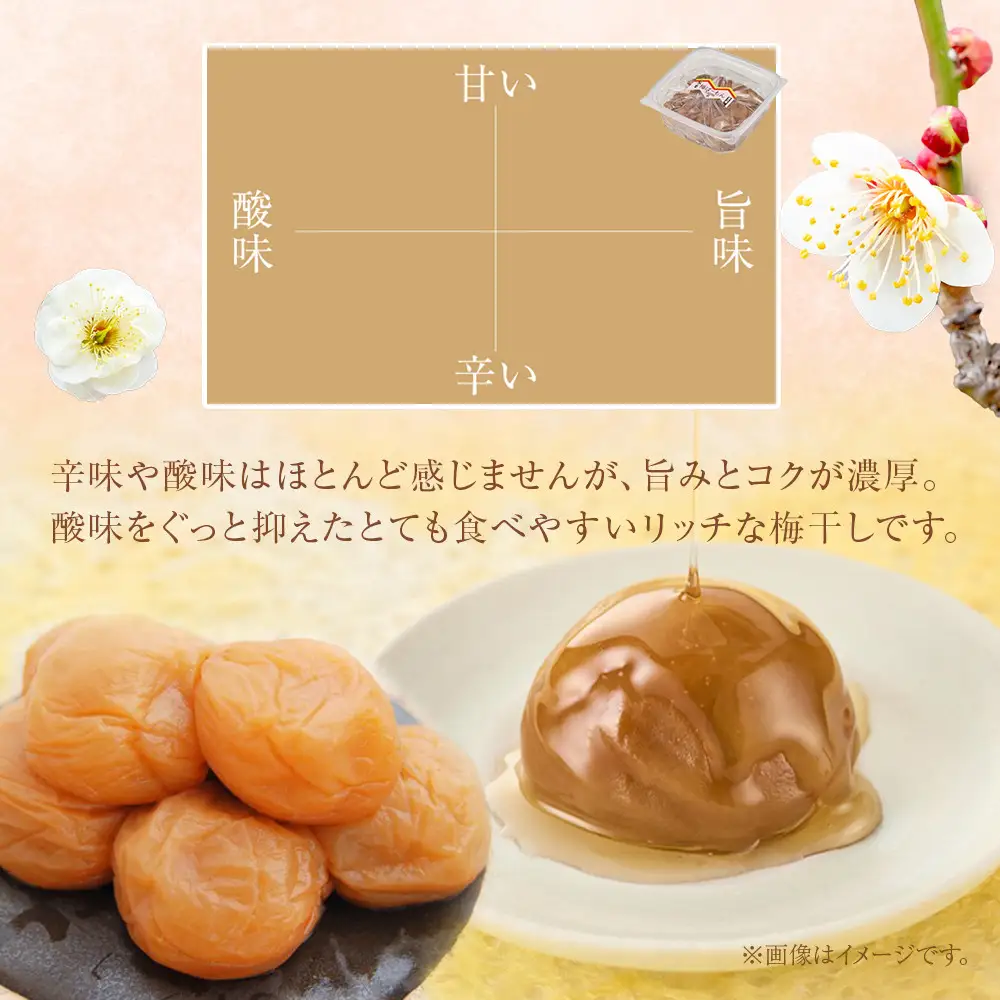 紀州南高梅 蜂蜜つぶれ梅 塩分5％ 1kg (500g×2) ［Kn22］